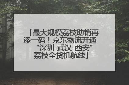 最大规模荔枝助销再添一码！京东物流开通“深圳-武汉-西安” 荔枝全货机航线