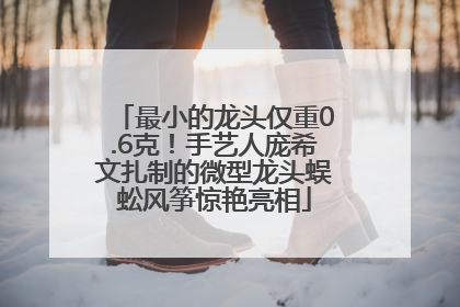 最小的龙头仅重0.6克！手艺人庞希文扎制的微型龙头蜈蚣风筝惊艳亮相