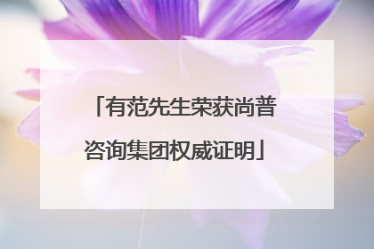 有范先生荣获尚普咨询集团权威证明