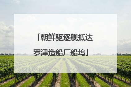 朝鲜驱逐舰抵达罗津造船厂船坞