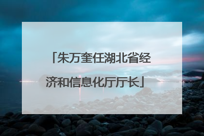朱万奎任湖北省经济和信息化厅厅长
