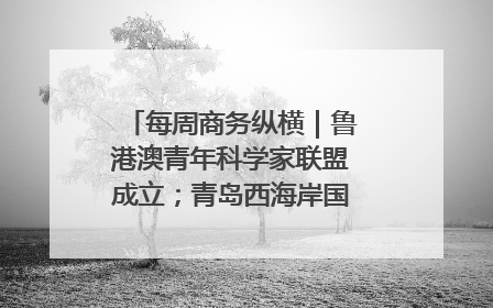 每周商务纵横｜鲁港澳青年科学家联盟成立；青岛西海岸国际能源自贸港启用