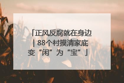 正风反腐就在身边｜88个村摸清家底变“闲”为“宝”