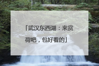 武汉东西湖：来赏荷吧，包好看的