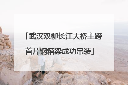 武汉双柳长江大桥主跨首片钢箱梁成功吊装