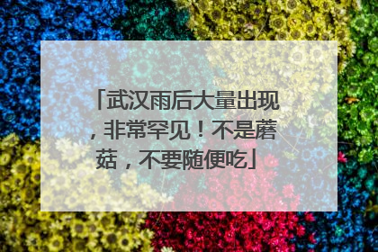 武汉雨后大量出现，非常罕见！不是蘑菇，不要随便吃