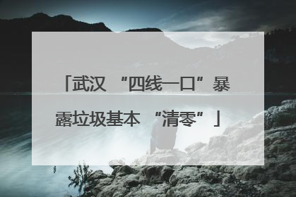武汉 “四线一口”暴露垃圾基本 “清零”