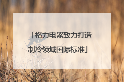 格力电器致力打造制冷领域国际标准