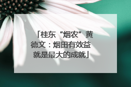 桂东“烟农”黄德文：烟田有效益就是最大的成就