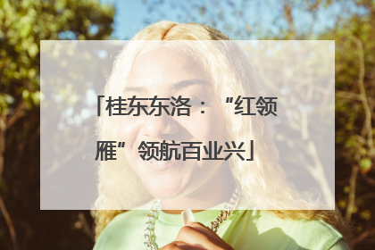 桂东东洛：“红领雁”领航百业兴