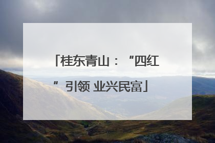 桂东青山：“四红”引领 业兴民富