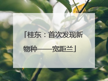 桂东：首次发现新物种——宽距兰