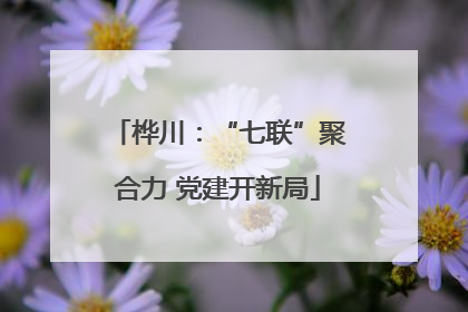 桦川：“七联”聚合力 党建开新局