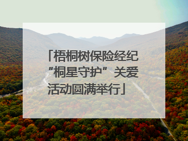 梧桐树保险经纪“桐星守护”关爱活动圆满举行