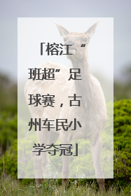 榕江“班超”足球赛，古州车民小学夺冠
