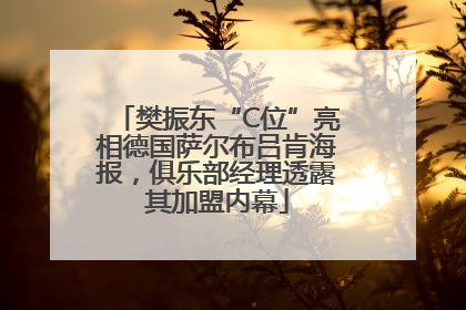 樊振东“C位”亮相德国萨尔布吕肯海报，俱乐部经理透露其加盟内幕