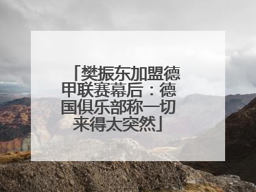 樊振东加盟德甲联赛幕后：德国俱乐部称一切来得太突然