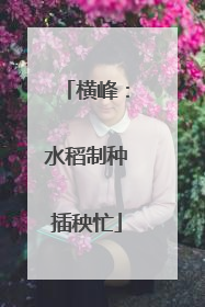 横峰：水稻制种插秧忙