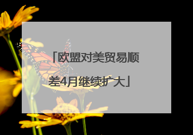 欧盟对美贸易顺差4月继续扩大