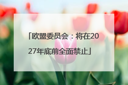 欧盟委员会：将在2027年底前全面禁止
