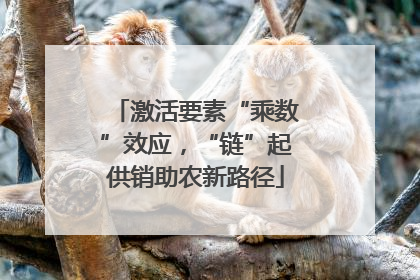 激活要素“乘数”效应，“链”起供销助农新路径