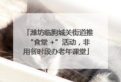 潍坊临朐城关街道推“食堂 +”活动，非用餐时段办老年课堂