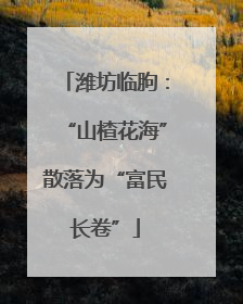 潍坊临朐：“山楂花海”散落为“富民长卷”