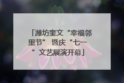 潍坊奎文“幸福邻里节” 暨庆“七一”文艺展演开幕