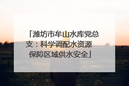 潍坊市牟山水库党总支：科学调配水资源 保障区域供水安全