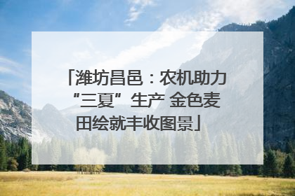 潍坊昌邑：农机助力“三夏”生产 金色麦田绘就丰收图景