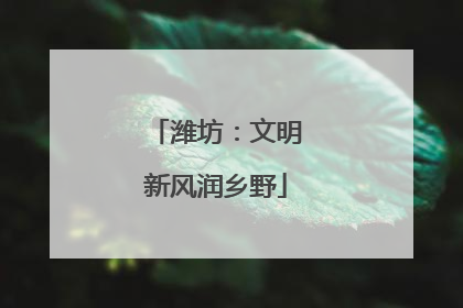 潍坊：文明新风润乡野