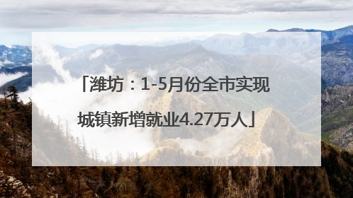 潍坊：1-5月份全市实现城镇新增就业4.27万人