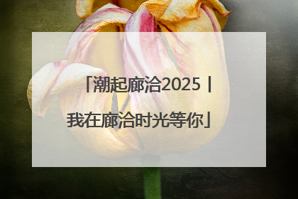 潮起廊洽2025丨我在廊洽时光等你