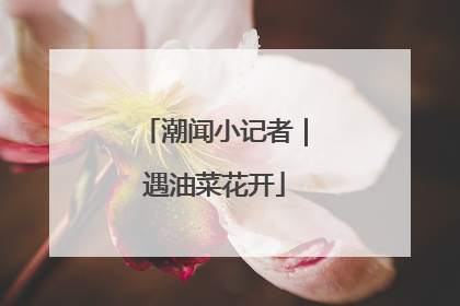 潮闻小记者｜遇油菜花开
