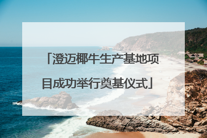 澄迈椰牛生产基地项目成功举行奠基仪式