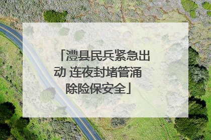 澧县民兵紧急出动 连夜封堵管涌除险保安全