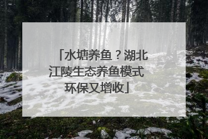 水塘养鱼？湖北江陵生态养鱼模式环保又增收