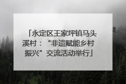 永定区王家坪镇马头溪村：“非遗赋能乡村振兴”交流活动举行