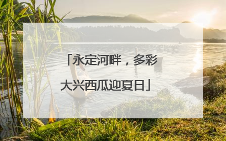 永定河畔，多彩大兴西瓜迎夏日