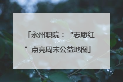 永州职院：“志愿红”点亮周末公益地图