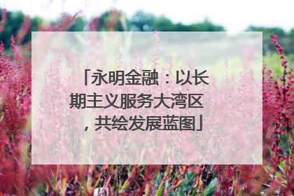 永明金融：以长期主义服务大湾区，共绘发展蓝图