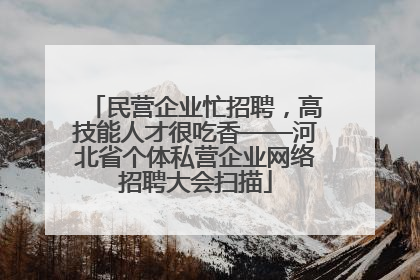 民营企业忙招聘，高技能人才很吃香——河北省个体私营企业网络招聘大会扫描