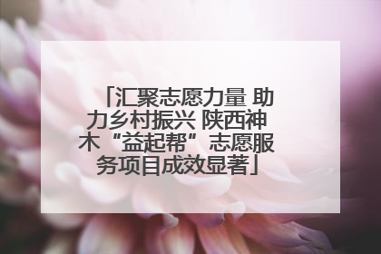 汇聚志愿力量 助力乡村振兴 陕西神木“益起帮”志愿服务项目成效显著