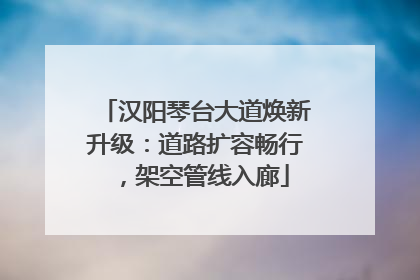 汉阳琴台大道焕新升级：道路扩容畅行，架空管线入廊