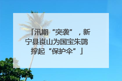 汛期“突袭”，新宁县崀山为国宝朱鹮撑起“保护伞”