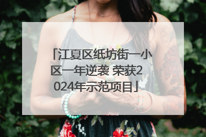 江夏区纸坊街一小区一年逆袭 荣获2024年示范项目