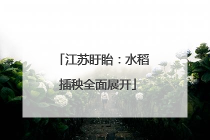 江苏盱眙：水稻插秧全面展开