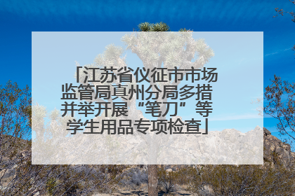 江苏省仪征市市场监管局真州分局多措并举开展“笔刀”等学生用品专项检查