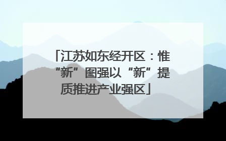 江苏如东经开区：惟“新”图强以“新”提质推进产业强区