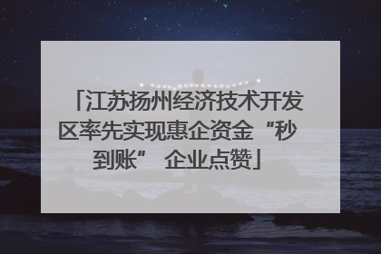 江苏扬州经济技术开发区率先实现惠企资金“秒到账” 企业点赞